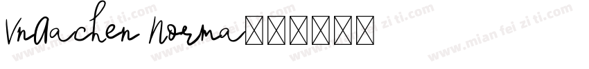 VnAachen Norma字体转换